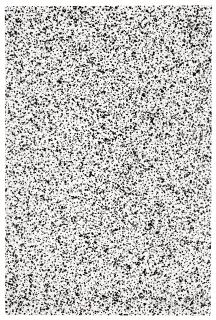 Christopher Wool - Untitled
