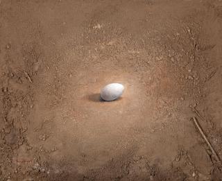 Christos Bokoros - Oeuf