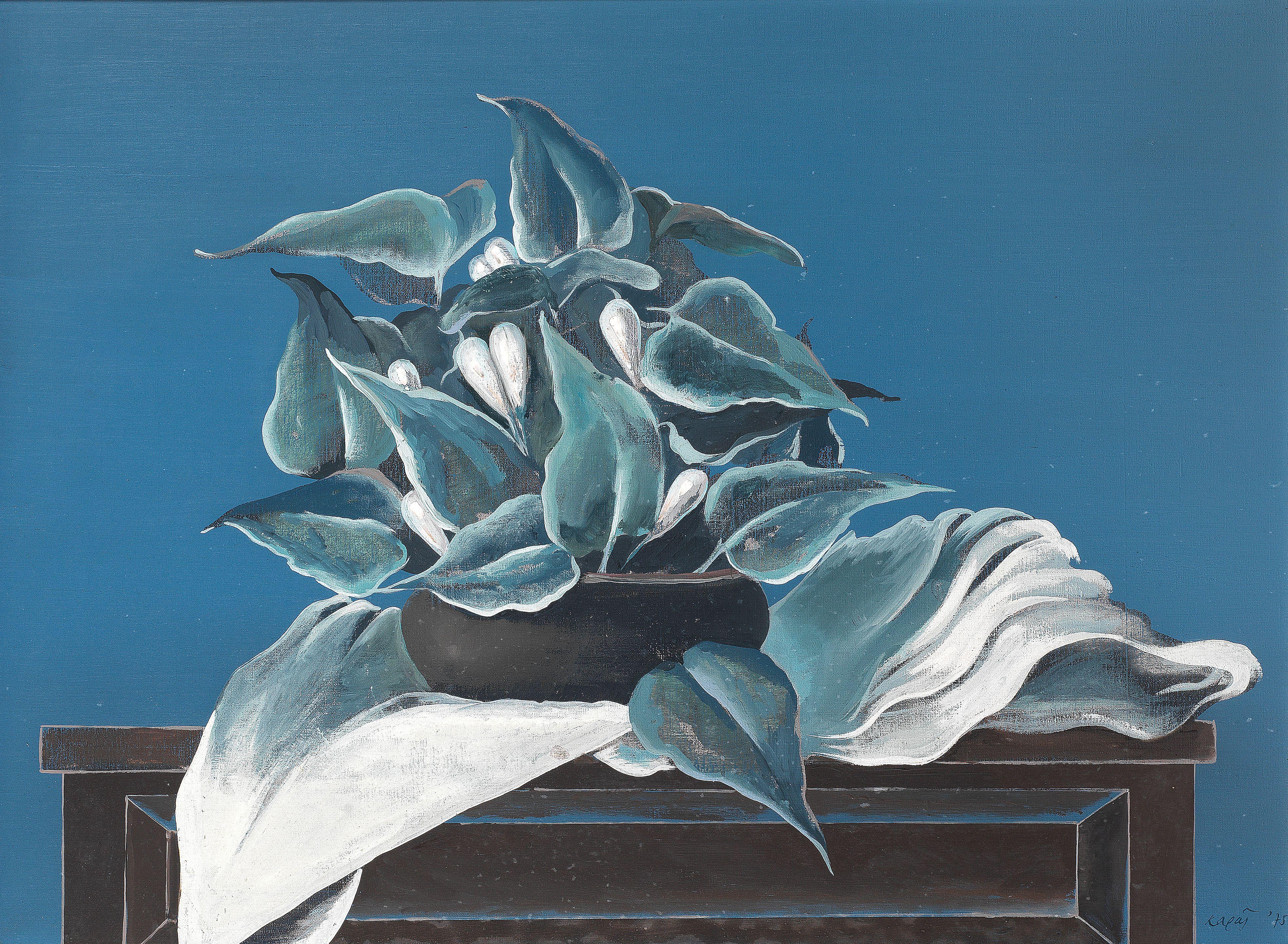 Christos Caras - Nature morte