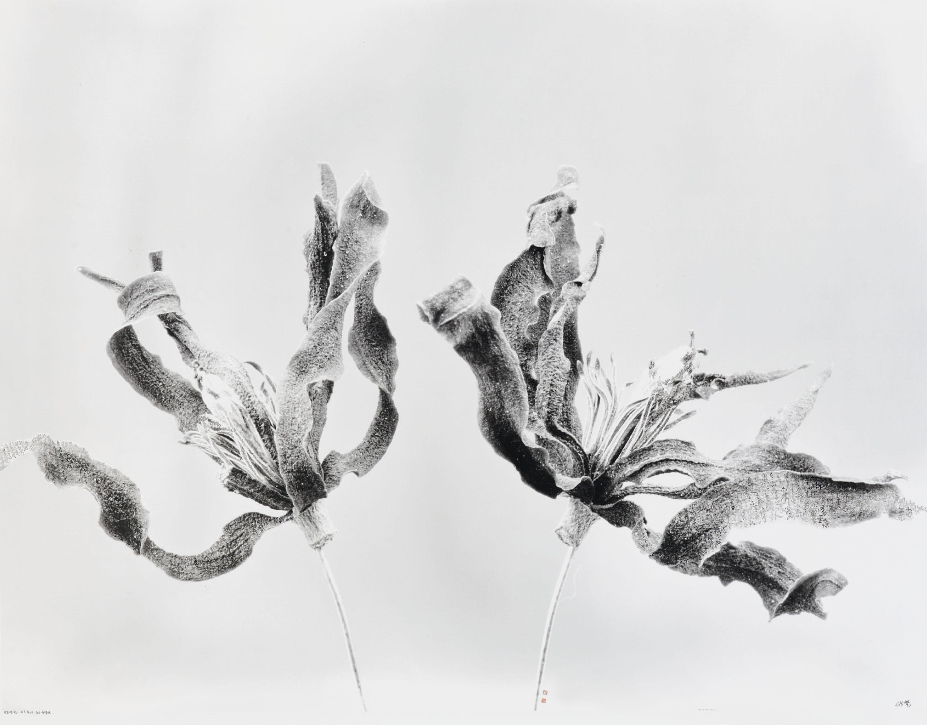 Chu Chu - Thing is Not a Thing, Magnolia 15, Zhuangzi, The Adjustment of Controversies