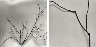 Chu Chu - Whisper of Trees: Elaeagnus (Book of Poetry: Grass-Insects)  Whisper of Trees: Camphor (Search for West Lake in My Dreams: Pavilion of the Jade Lotus)