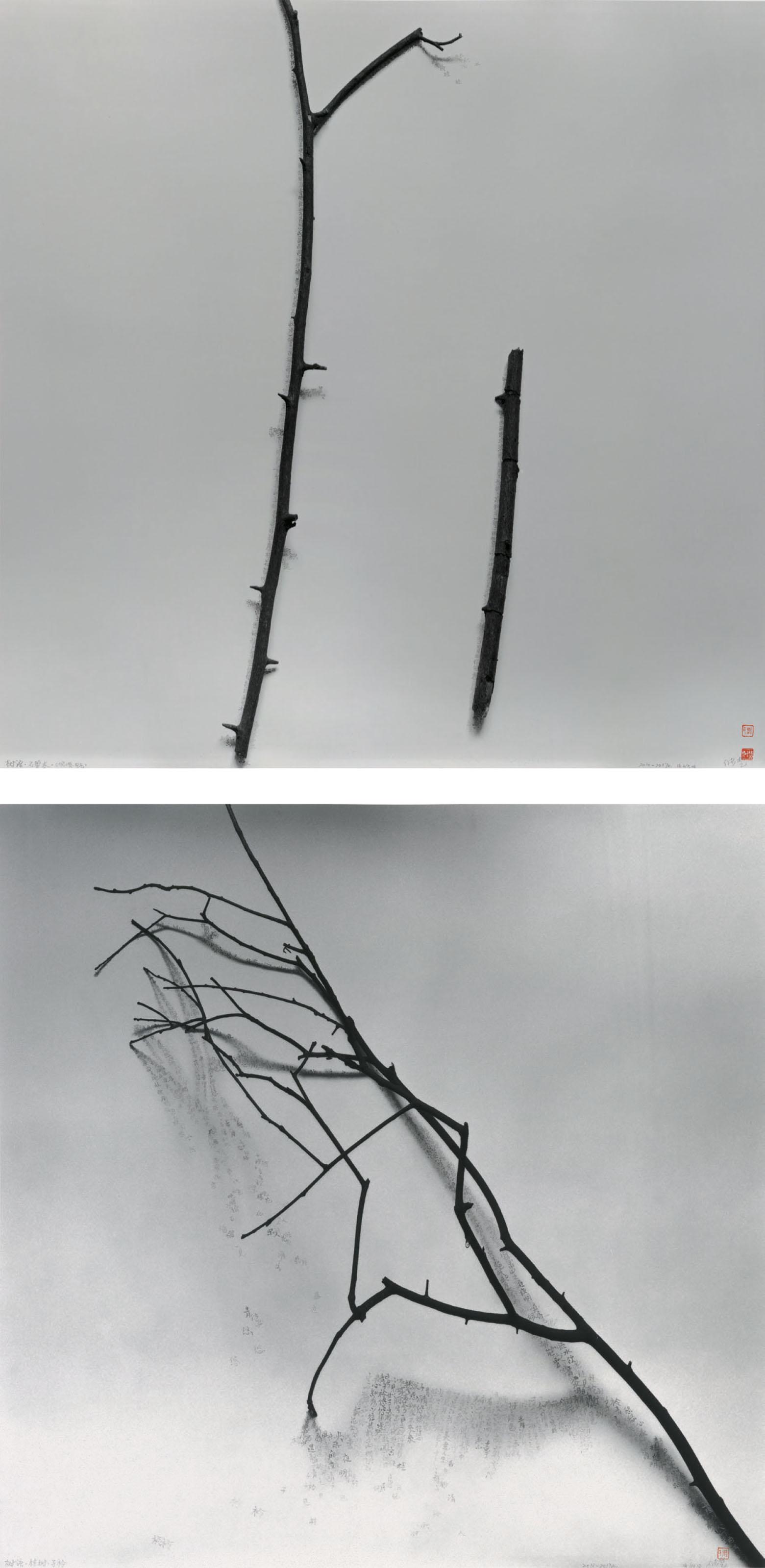 Chu Chu - Whisper of Trees: Tutcheria; Whisper of Trees: Osmanthus Fragrans