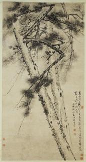 Chu Zhang - Pine Tree, 1766