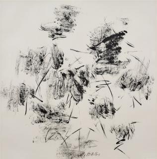 Chua Ek Kay - Lotus series