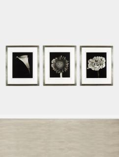 Chuck Close - Hydrangea, Calla Lily and Sunflower 3