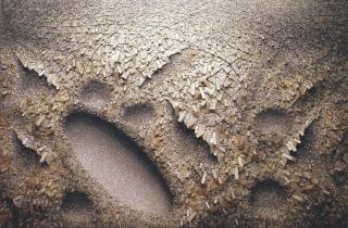 Chun Kwang Young - Aggregation 06-AP016