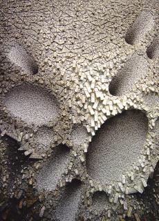 Chun Kwang Young - Aggregation 07-OC075