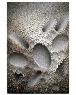 Chun Kwang Young - Aggregation 08-JU009