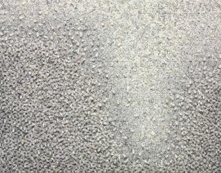 Chun Kwang Young - Aggregation 99-FL15