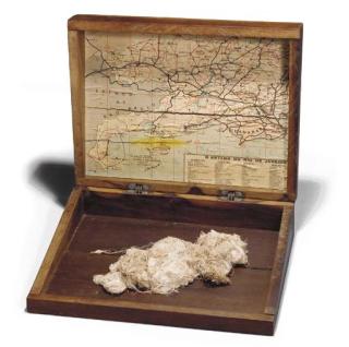 Cildo Meireles - Arte física: cordoes/30km de linha estendidos