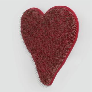 Cildo Meireles - Coração Faquir 1