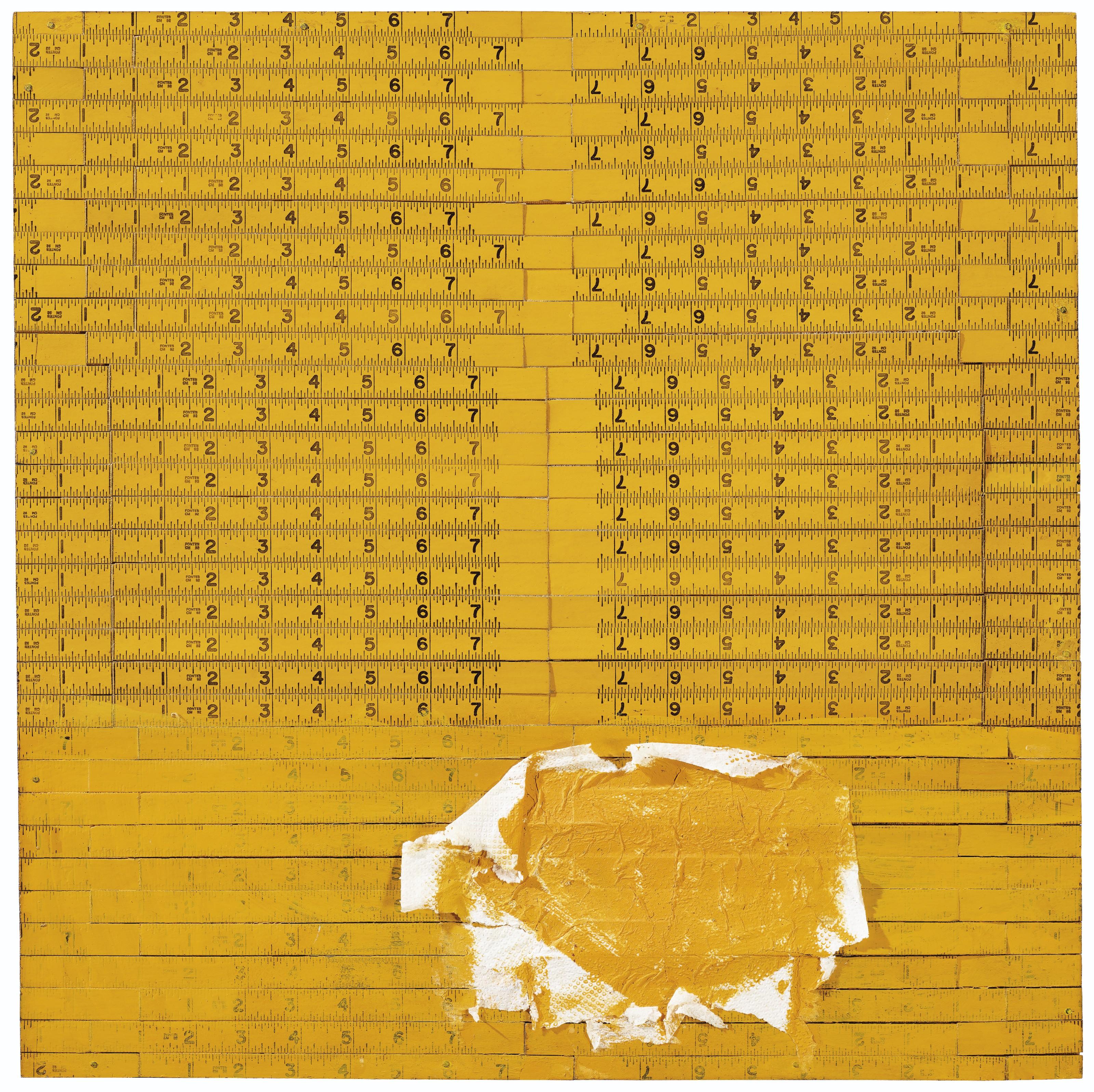 Cildo Meireles - Metros Ii 9B