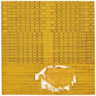 Cildo Meireles - Metros Ii 9B