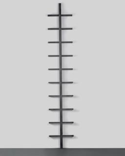 Cildo Meireles - Prototype for Viagem ao centro do céu e da terra