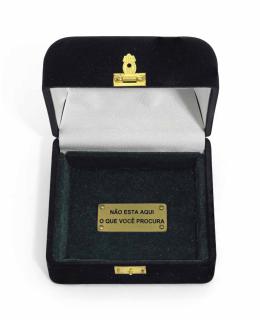 Cildo Meireles - Resposta (Response)