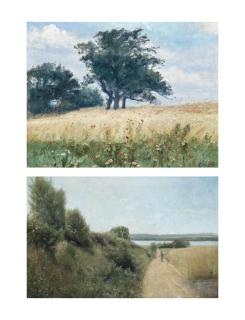 Cilius Andersen - The Poppy Field