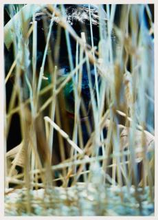 Cindy Sherman - Ohne Titel