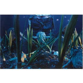 Cindy Sherman - Untitled #171