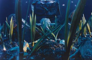 Cindy Sherman - Untitled #171