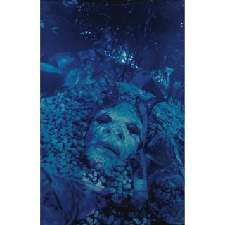 Cindy Sherman - Untitled #174