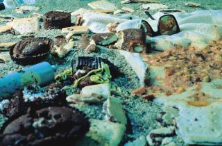 Cindy Sherman - Untitled (#175)