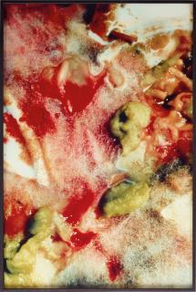 Cindy Sherman - Untitled (#235), 1987-1990