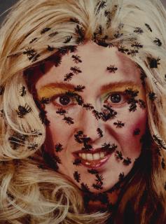 Cindy Sherman - Untitled