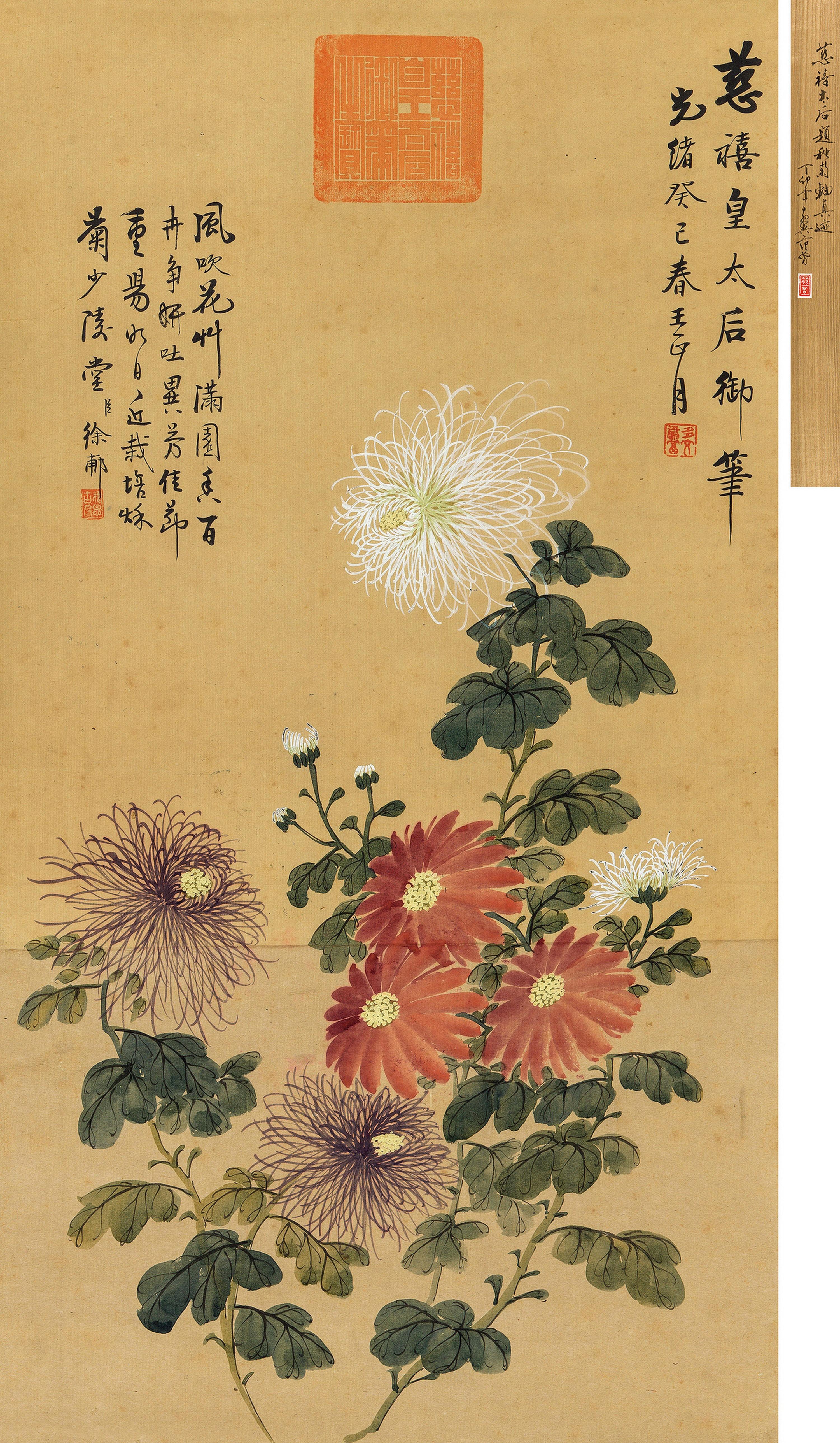Cixi - Chrysanthemum