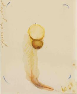 Claes Oldenburg - Sketch of a Punching Bag