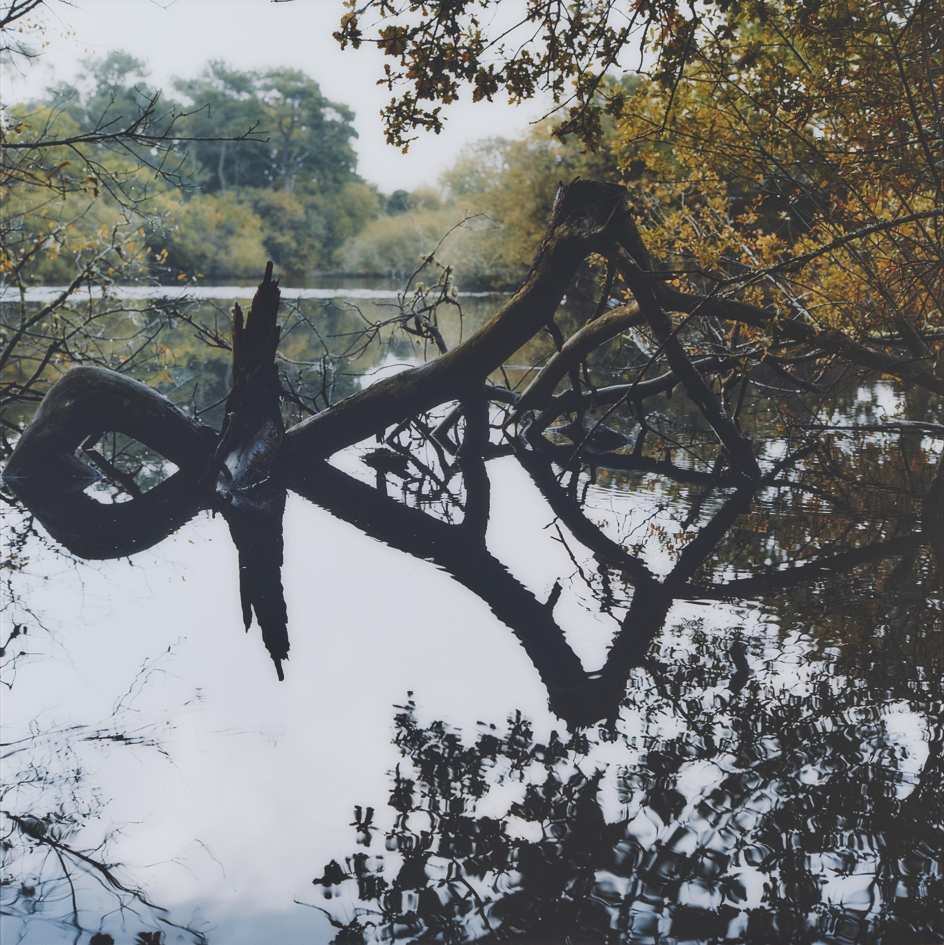 Claire Adelfang - Idéogramme, 2010