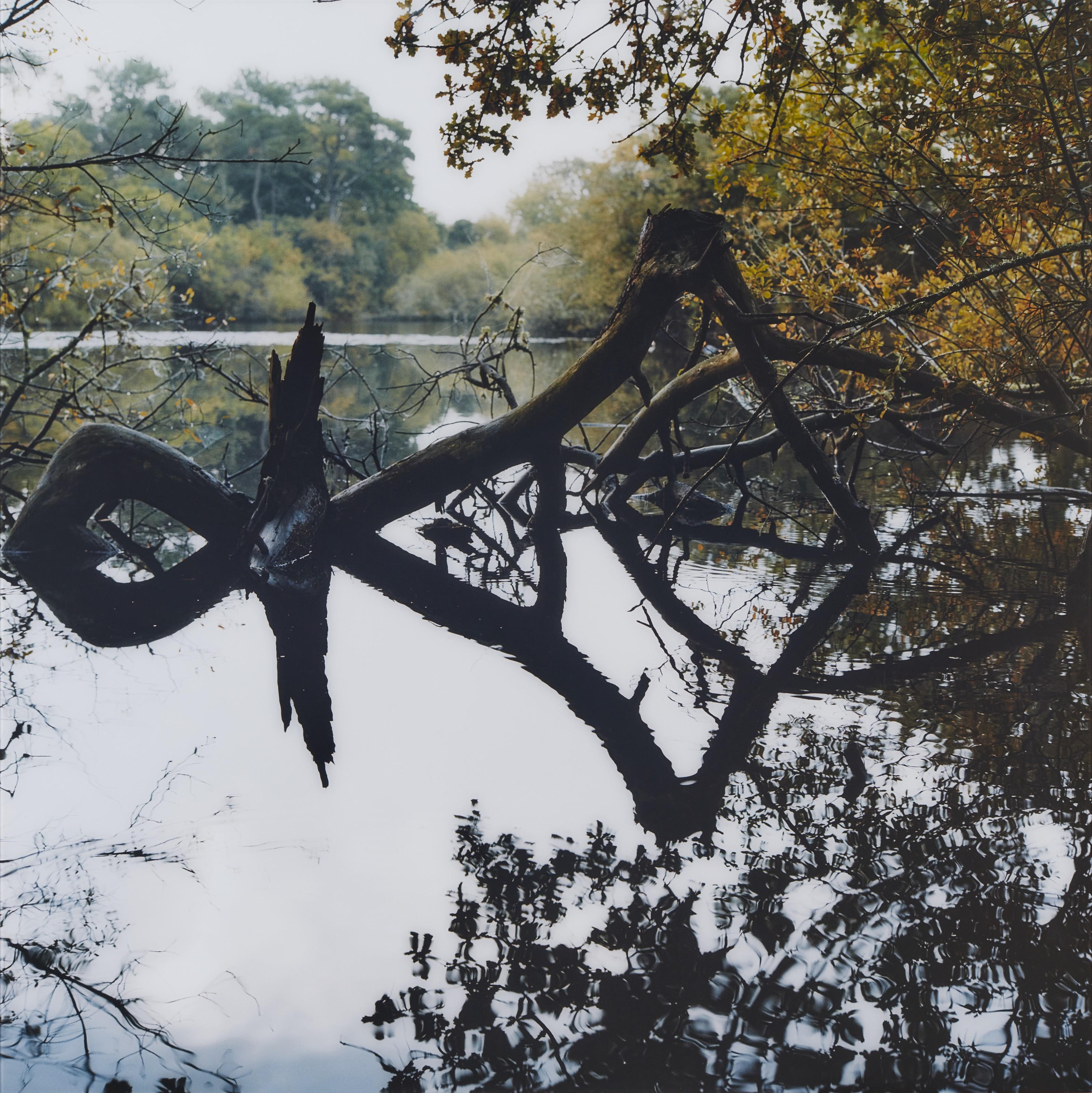 Claire Adelfang - Idéogramme, 2010