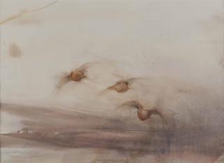 Claire Harkess - A covey of red grouse in flight over moorland