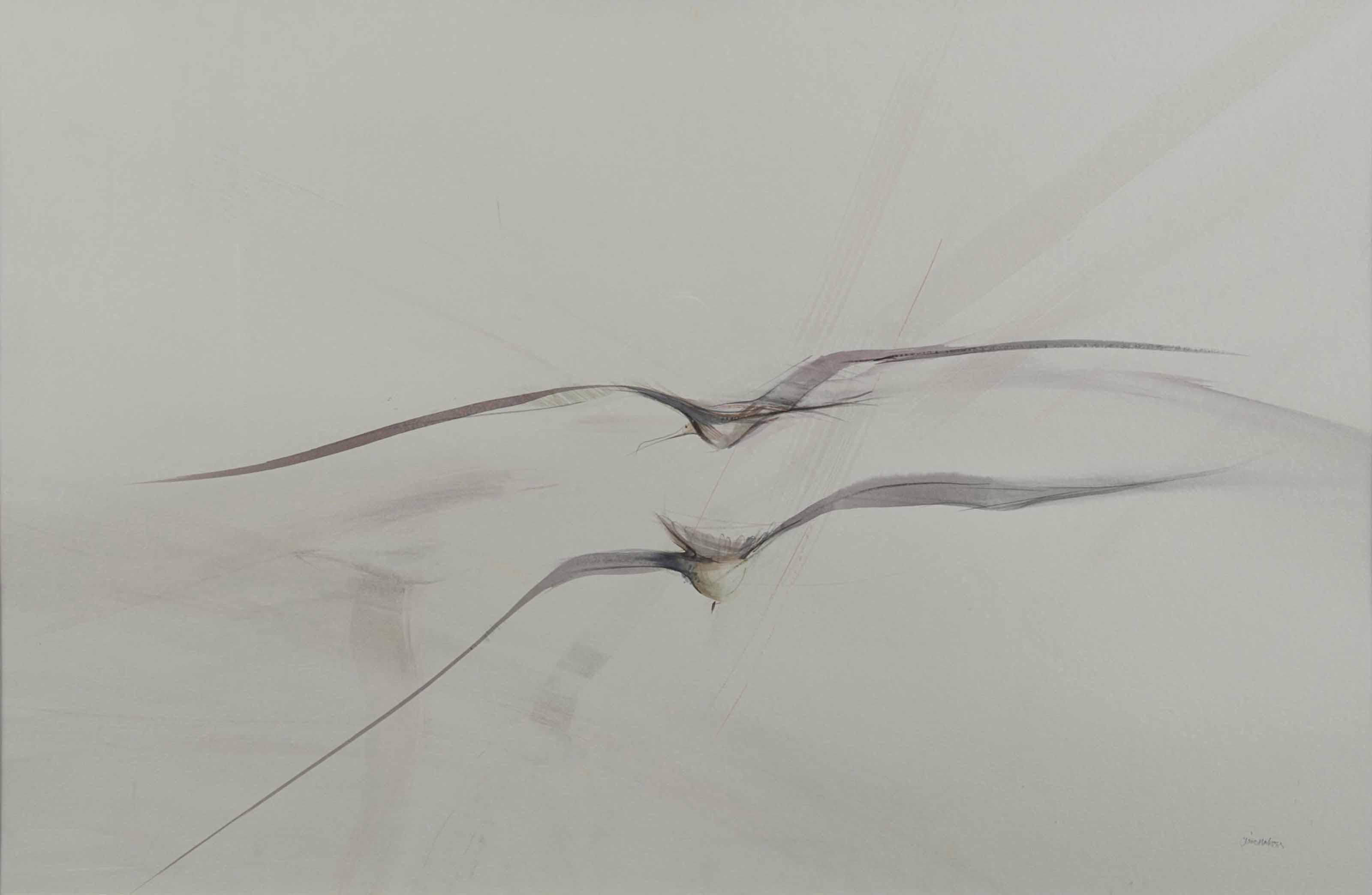 Claire Harkess - Pajaro Pirata II