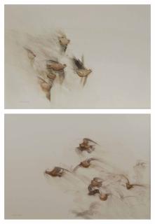 Claire Harkess - Red grouse in flight; and a covey of grouse in flight