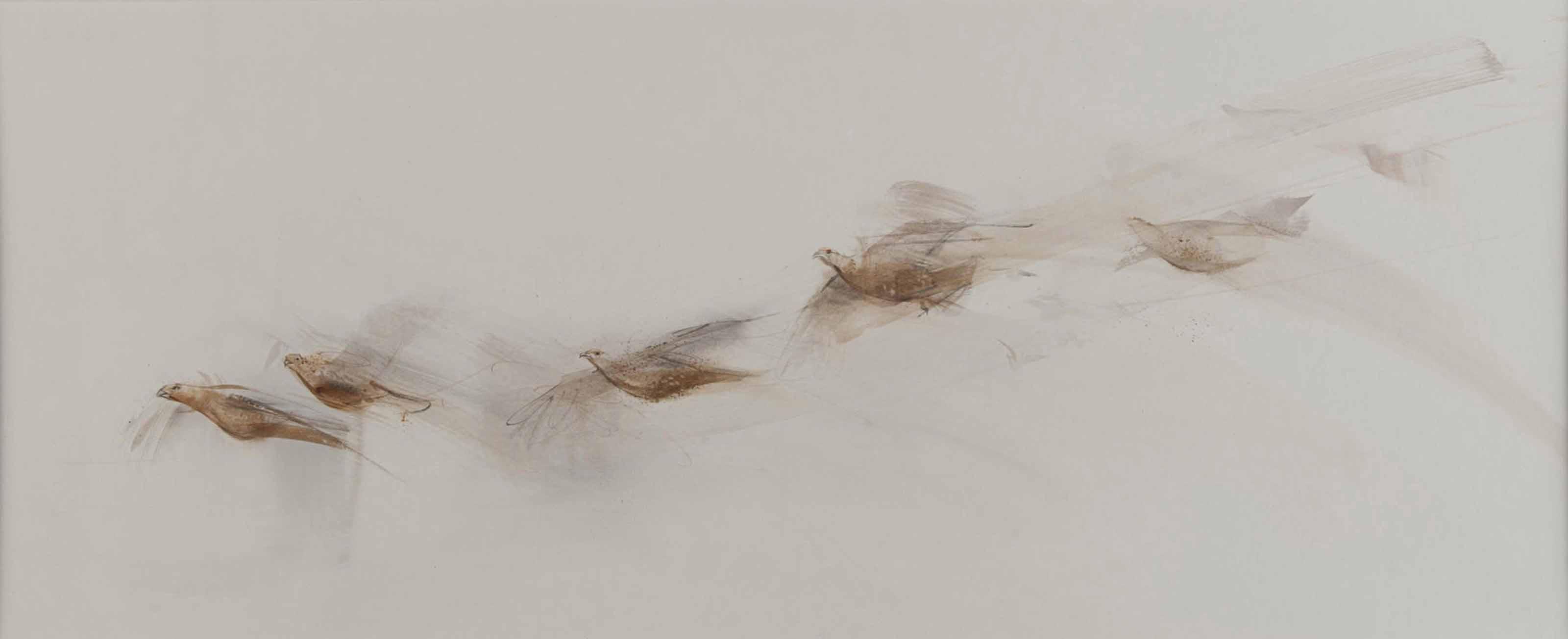 Claire Harkess - Red grouse in flight