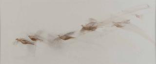 Claire Harkess - Red grouse in flight