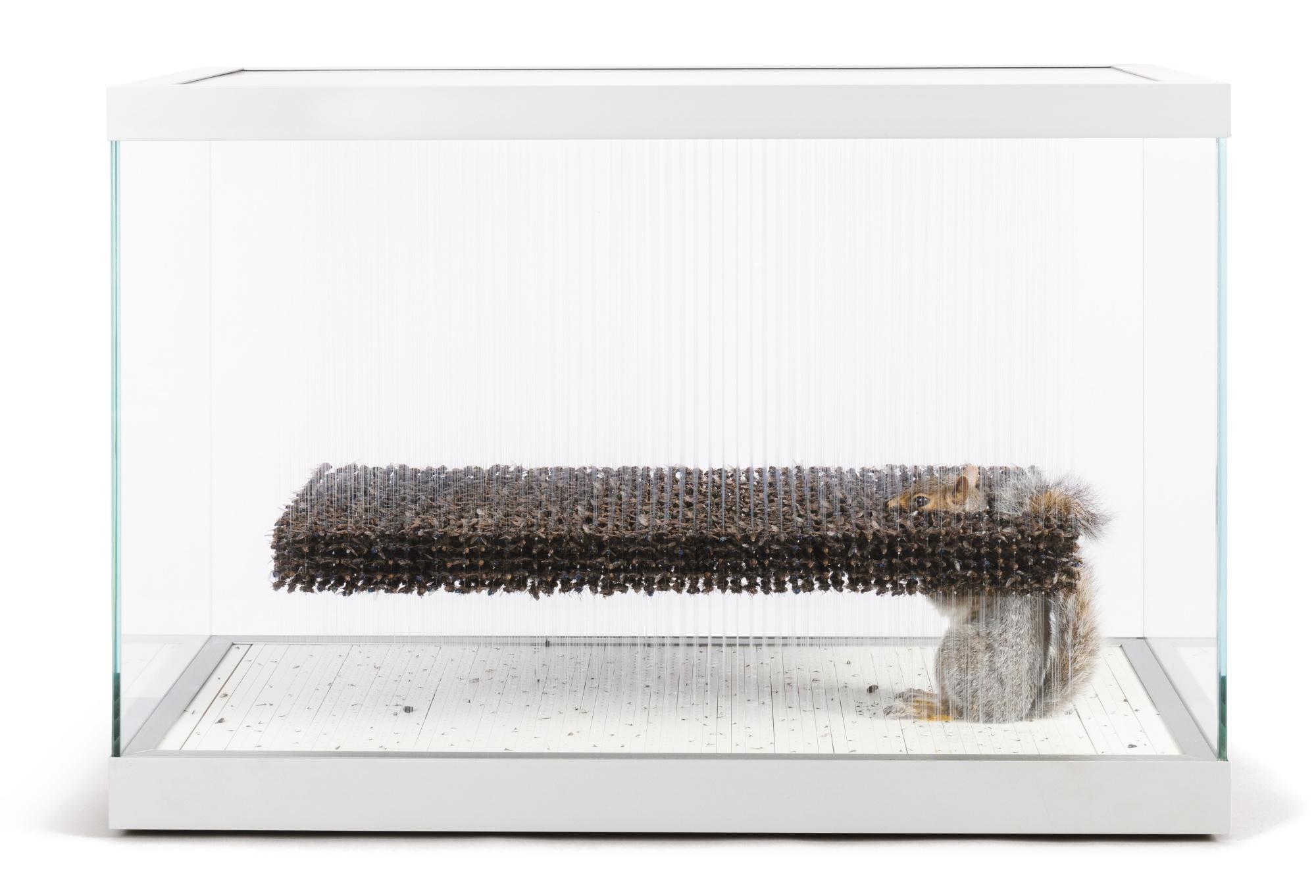 Claire Morgan - A Hanging Fog