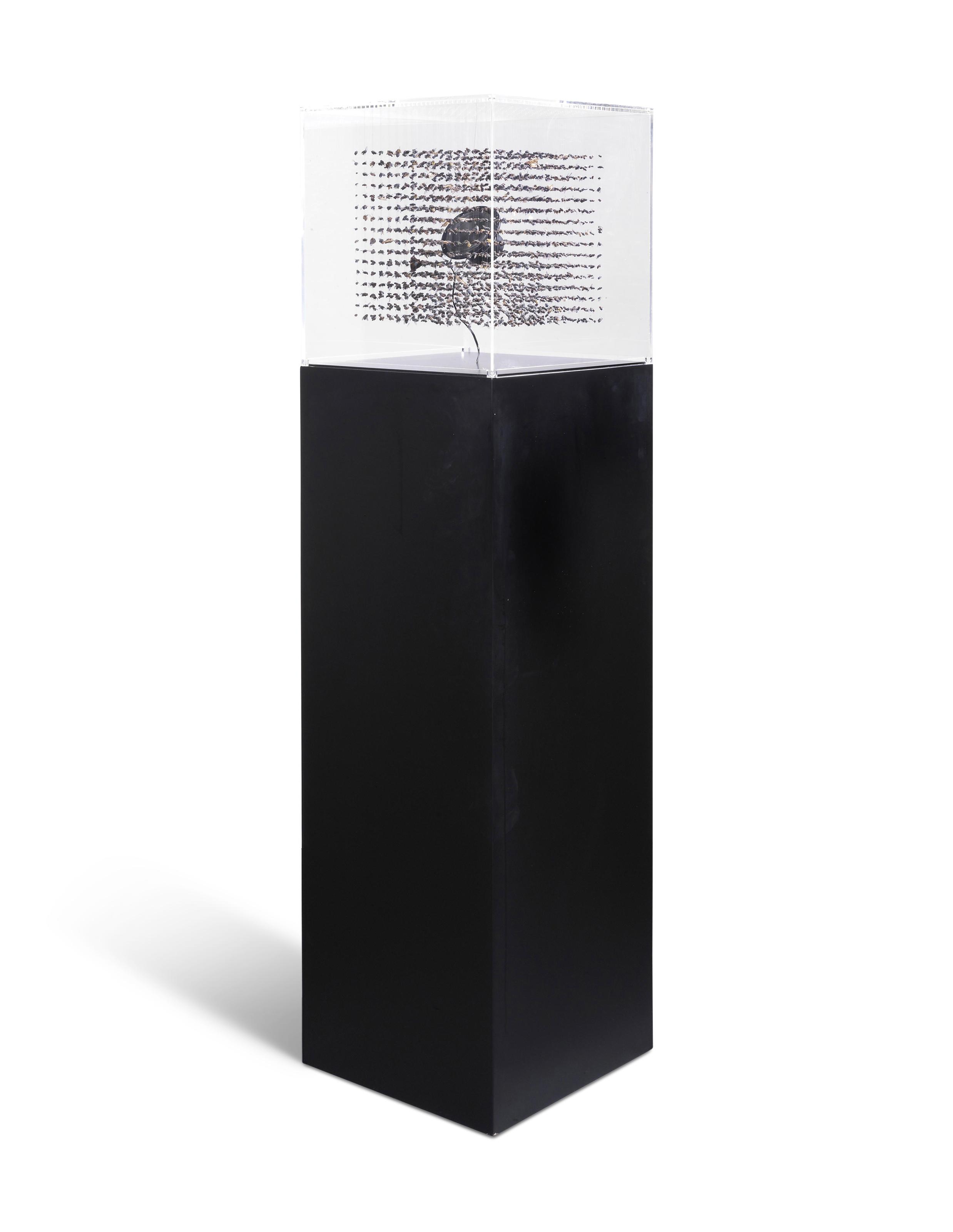 Claire Morgan - Interference