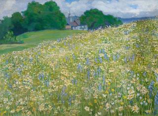 Clara Porges - Blühende Sommerwiese
