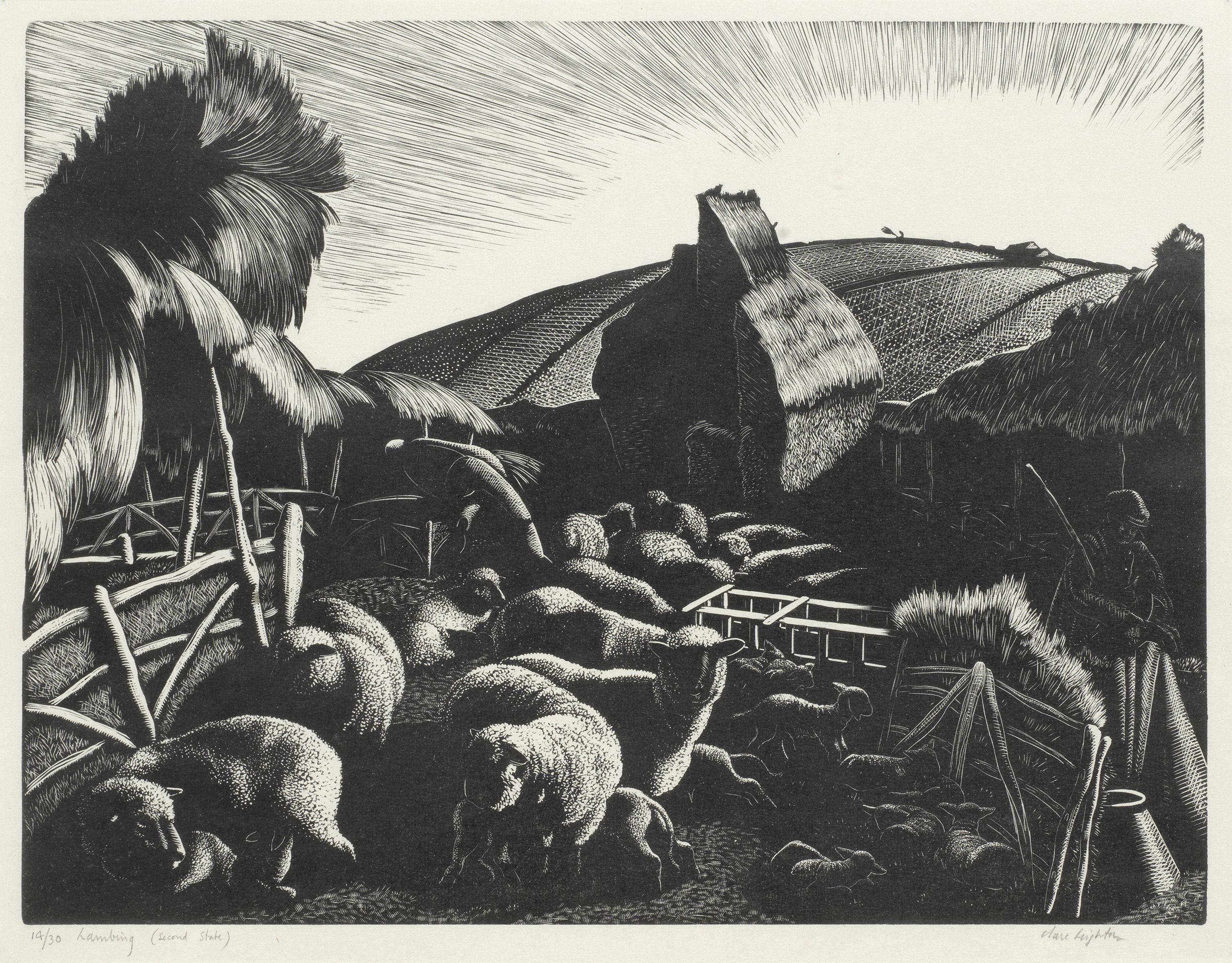 Clare Leighton - Lambing