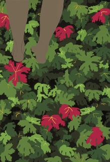 Clare Woods - Axeminster