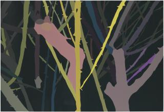 Clare Woods - Love Lane