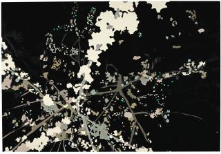 Clare Woods - Snow Hill