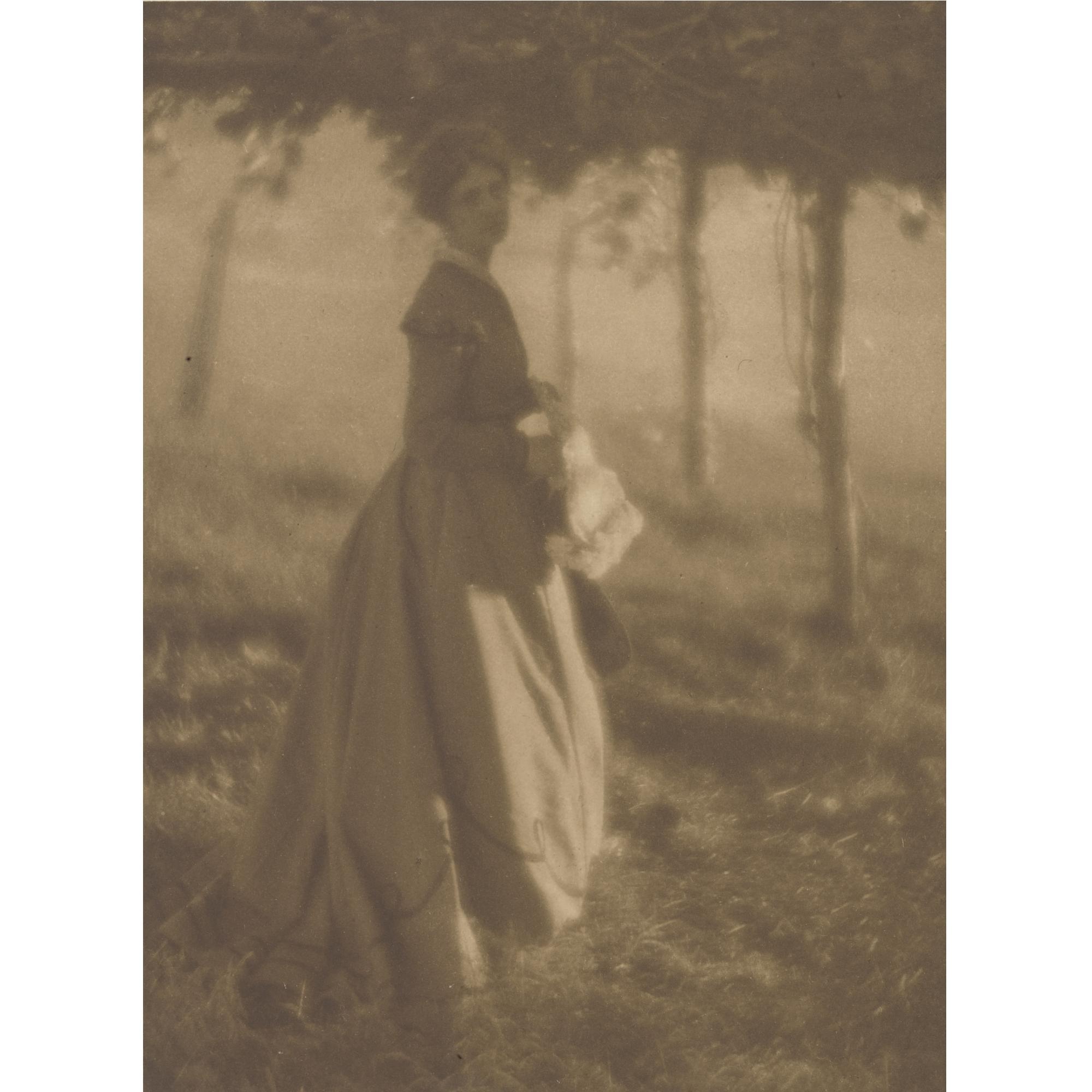 Clarence H. White - The Arbor