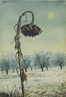 Clarence Holbrook Carter - Sunflower in Winter