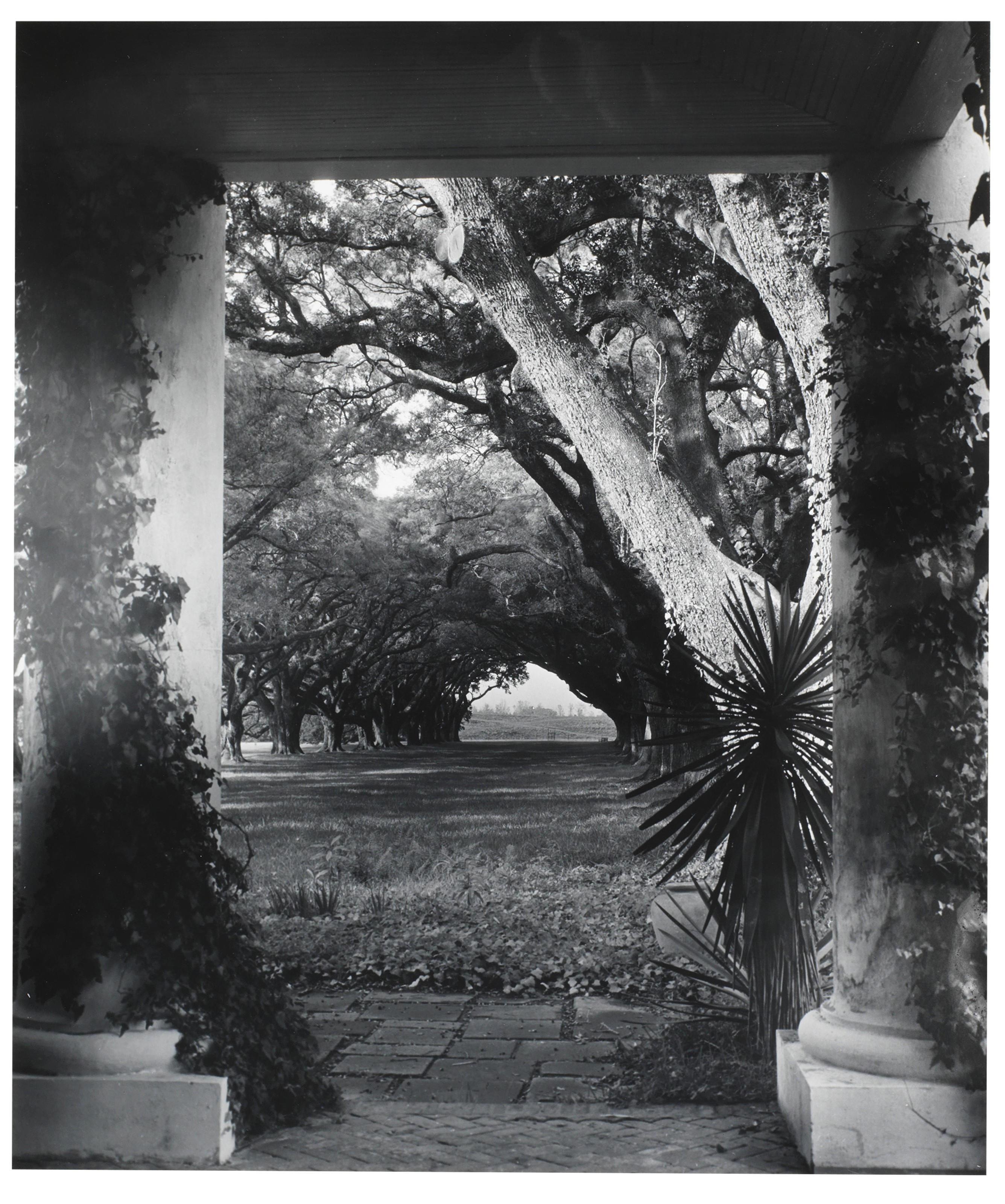 Clarence John Laughlin - Three works: The Incredible Avenue, 1946; Titanic Arcade Oak Alley, 1946; and A House and Its Own World, 1951