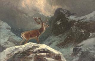 Clarence Roe - A stag in a highland winter landscape