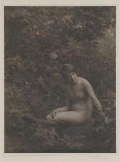 Clarence White - Nude en plein air