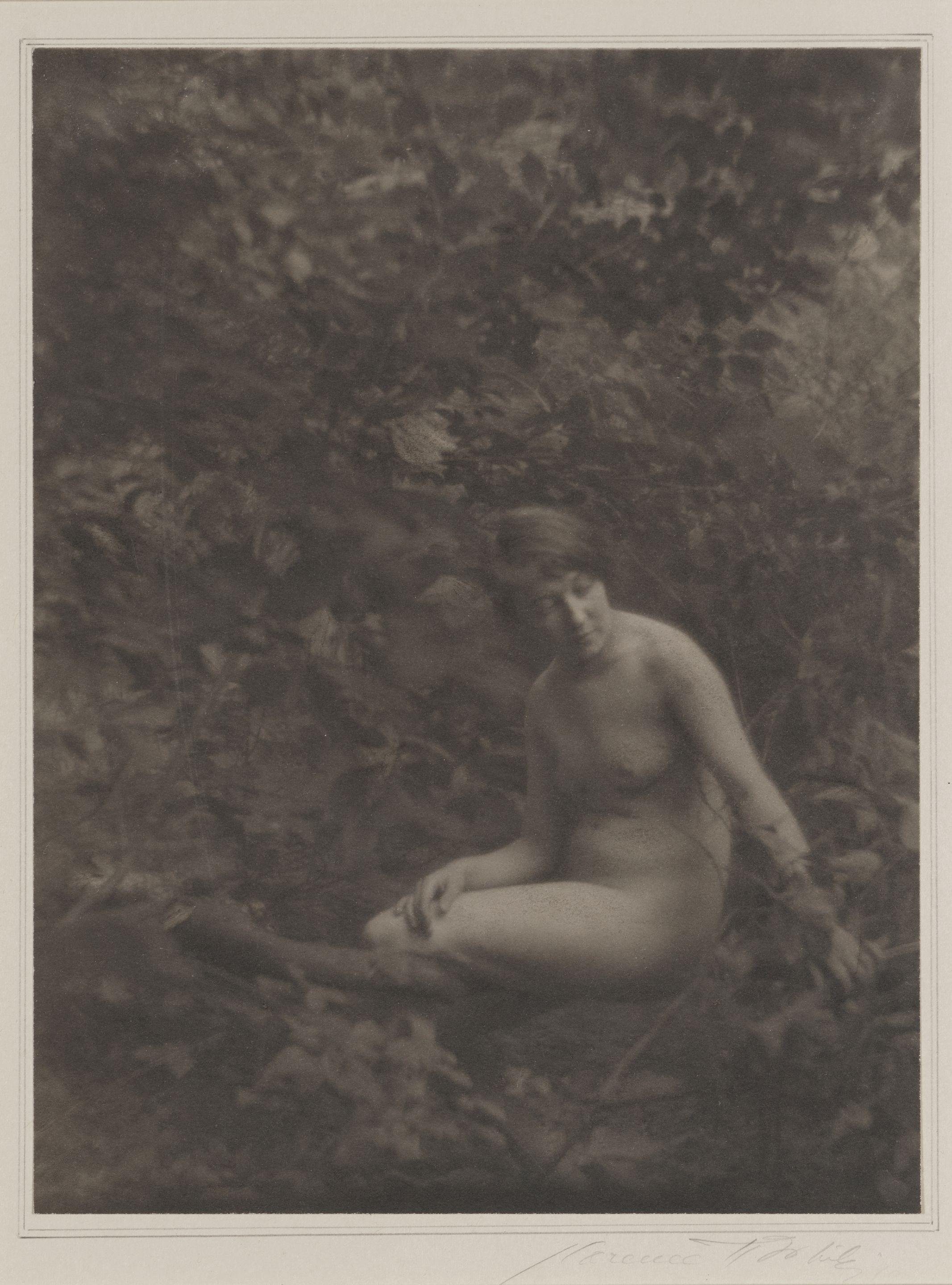 Clarence White - Nude en plein air