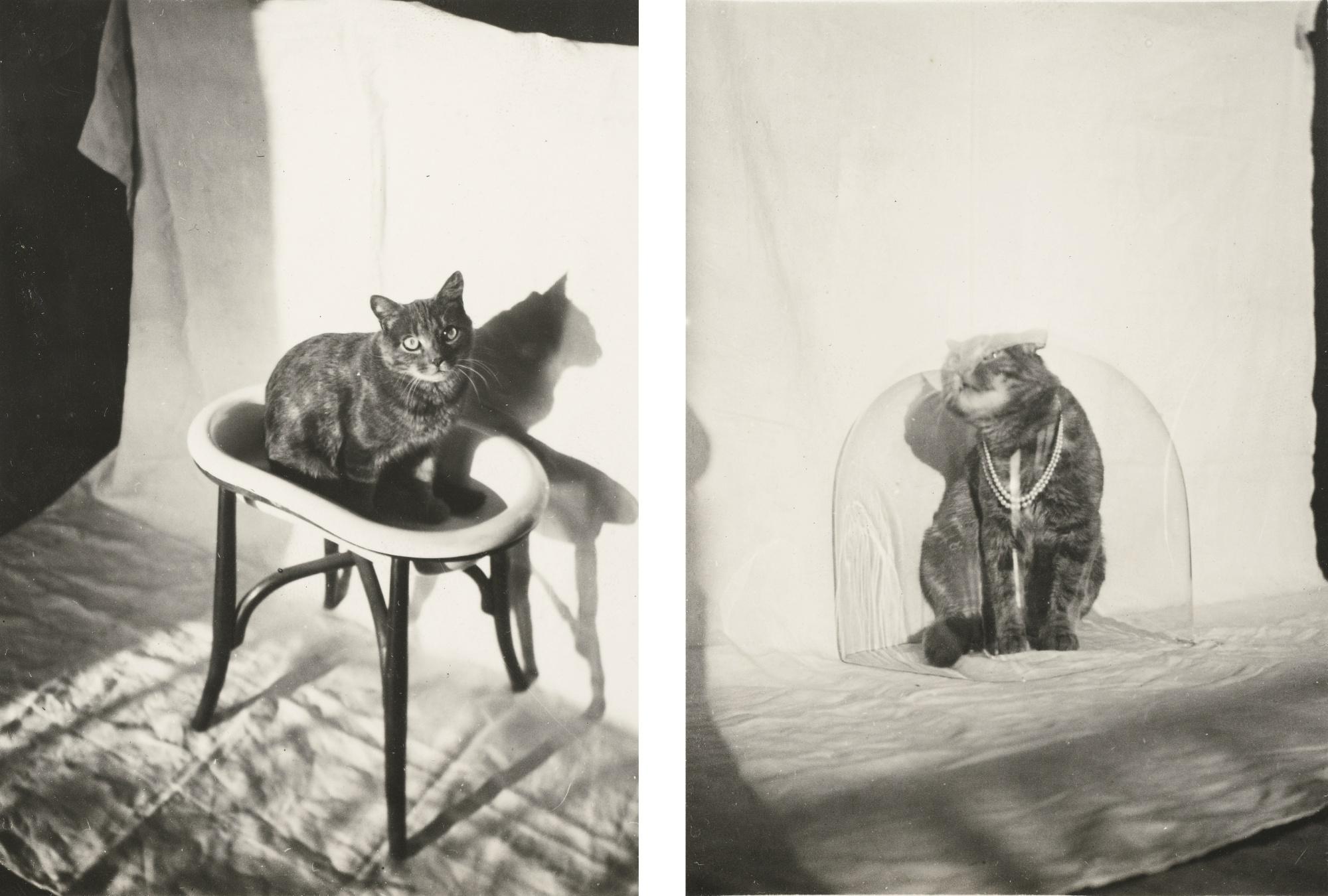 Claude Cahun - I. Chat À La Cloche, 1925 - 1930 Ii. Chat À La Vasque, 1925 - 1930